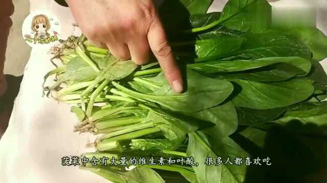 生活小技巧:你家还在买菠菜吗?这一点你需要知道!