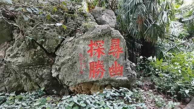 柳州镜山未开发山洞,里面没有灯光,黑乎乎的,恐怖!