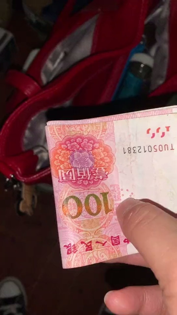 不知母亲为何母亲坐火车连夜来看我给妈妈偷偷塞了两百块钱回去车费和