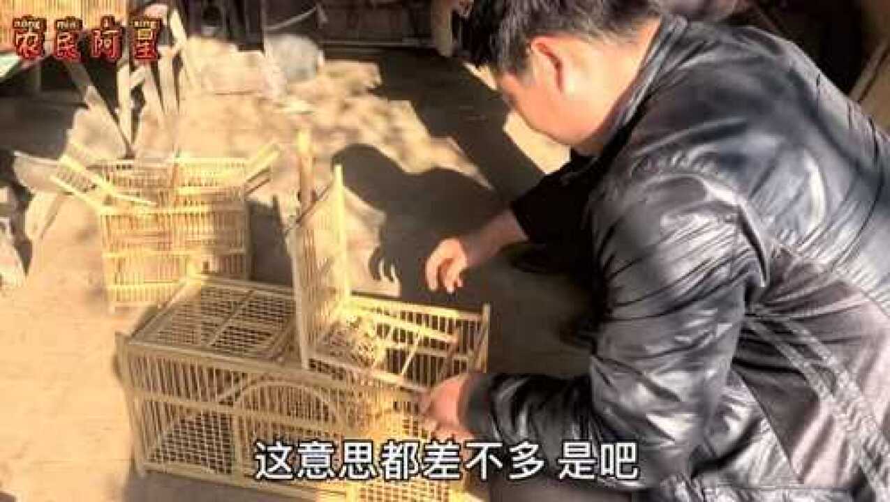 农村大爷自制的捕鸟笼，做法简单又非常好用，看完自己在家就能做_高清1080P在线观看平台_腾讯视频