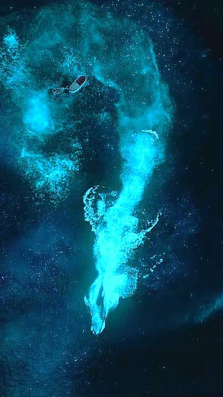 少年派的奇幻漂流满足了我对海洋的幻想每看一遍都有新的理解