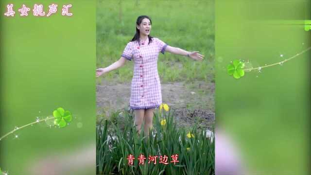 美女歌手一首《青青河边草》,娓娓动听的节奏,百听不厌