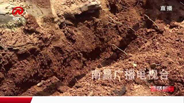 进贤新闻“厕所革命”助力美丽乡村建设