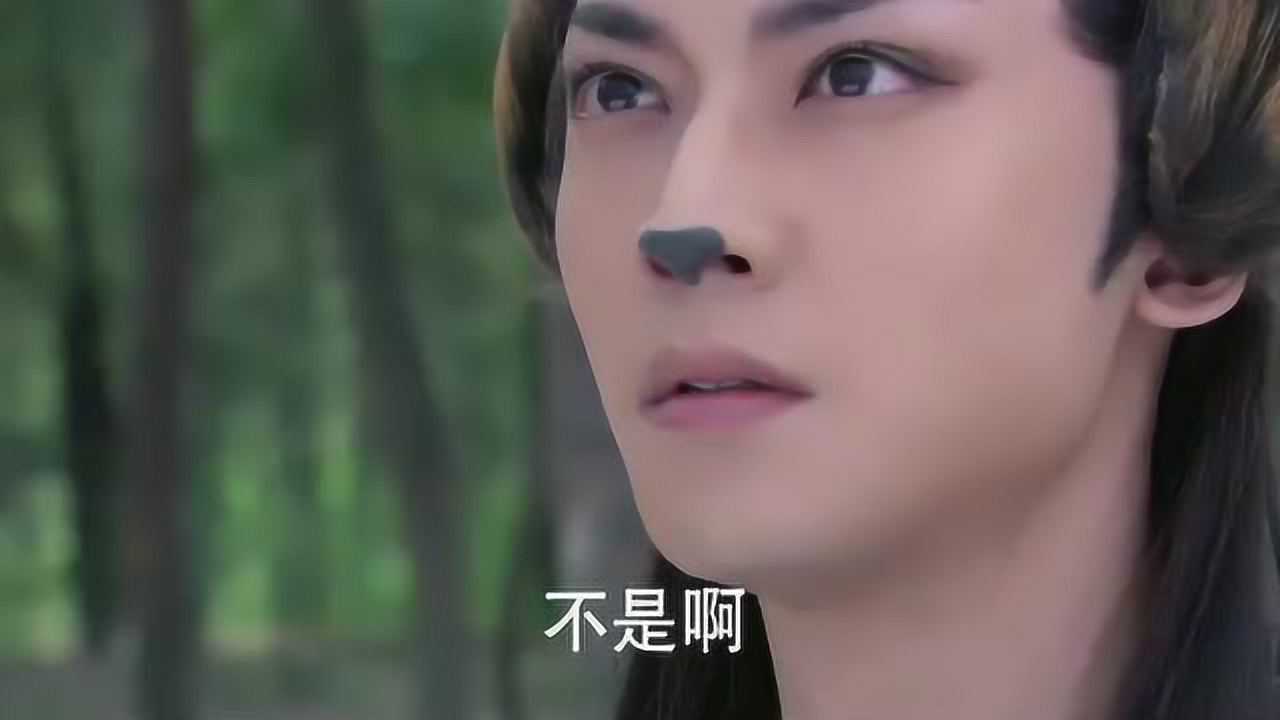 夜犬对九妹一往情深九妹却和他兵刃相见夜犬彻底心死