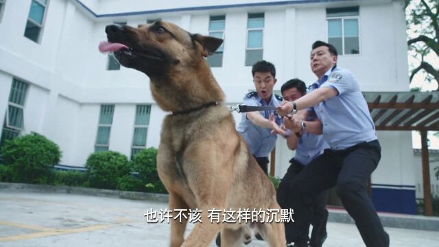 警犬:要知道警犬有多忠诚,看这段视频全都明白了,太催泪了