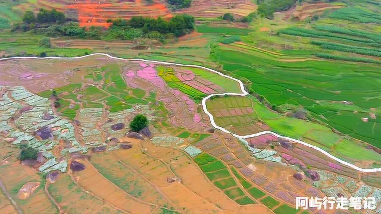 广西巴马附近新开发的一个景区,后面一片花海,令人向往,不知什么时候