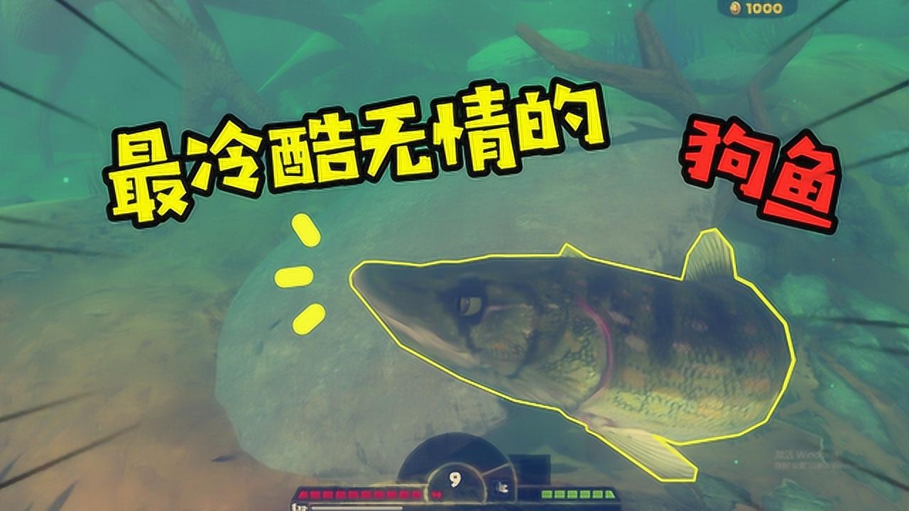 海底大猎杀:最冷酷无情的狗鱼来了即使是我的同类也不能放过