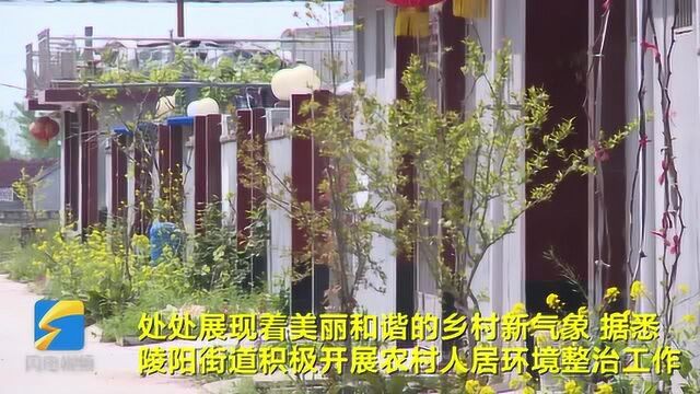 24秒丨日照莒县陵阳街道:推进人居环境整治 打造美丽宜居乡村