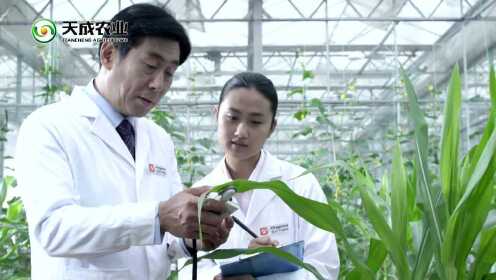 农林卫视《中国农资秀》粒歌三农融媒中心||天成农业宣传片
