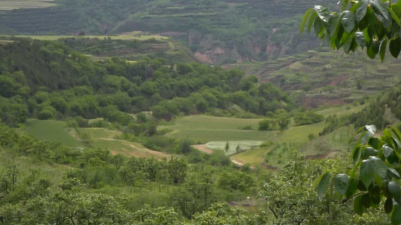 零距离带你去看,历史上最大规模盗挖乾陵遗迹