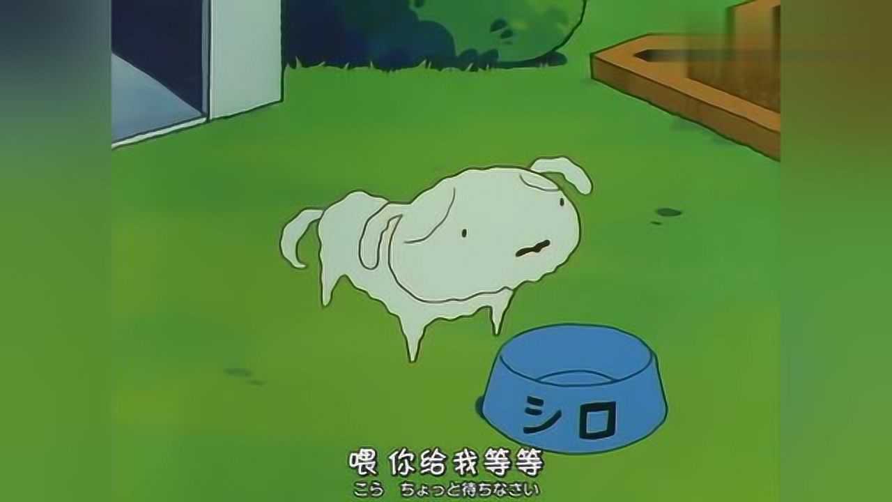 蜡笔小新:小白的一天小新忘记喂它吃饭,只能吃自己存起来的骨头