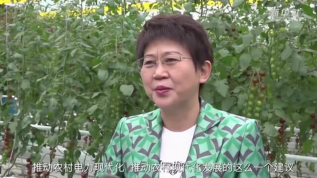 履职故事| 高明芹:打造智慧农业 积极推广乡村电气化建设