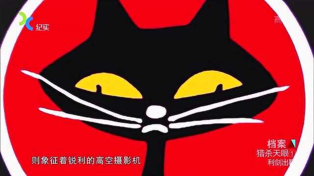 揭秘台湾“黑猫”中队,由美国中情局管辖,台湾只是美国的棋子