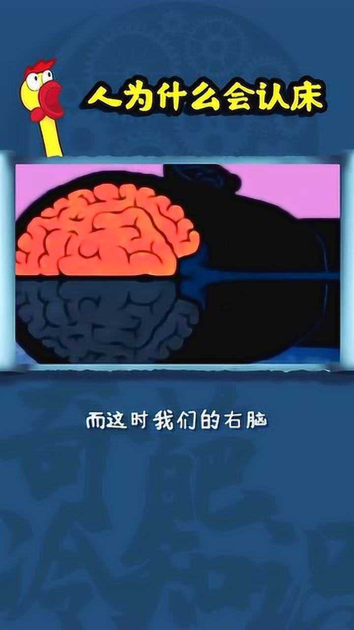 认床图片带文字图片