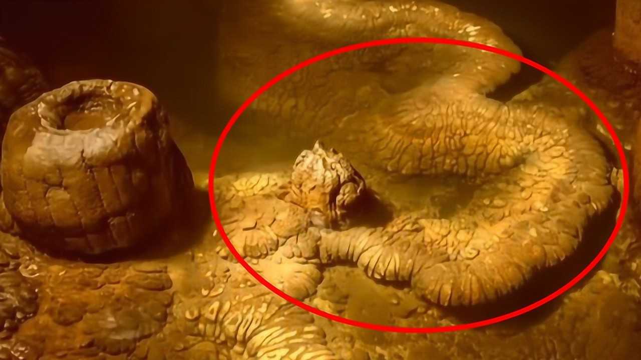 湖南一山洞发现真龙,当地人不敢靠近,专家:至少存在上亿年