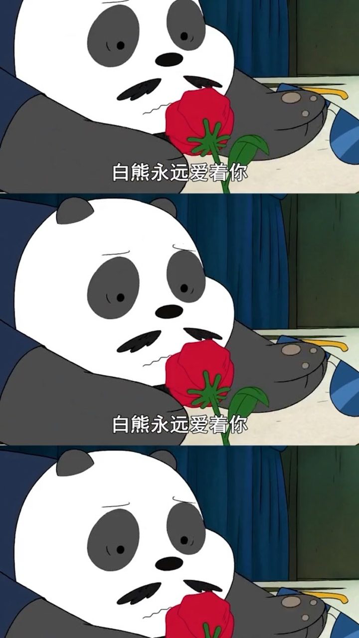 这就是你们的理想型吗