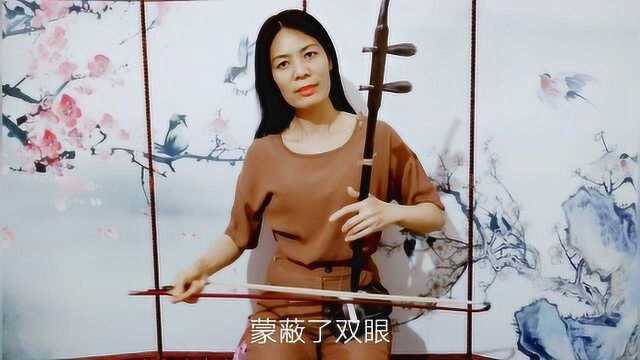 流行歌曲《一生回味一面》二胡演奏,旋律动听,朗朗上口