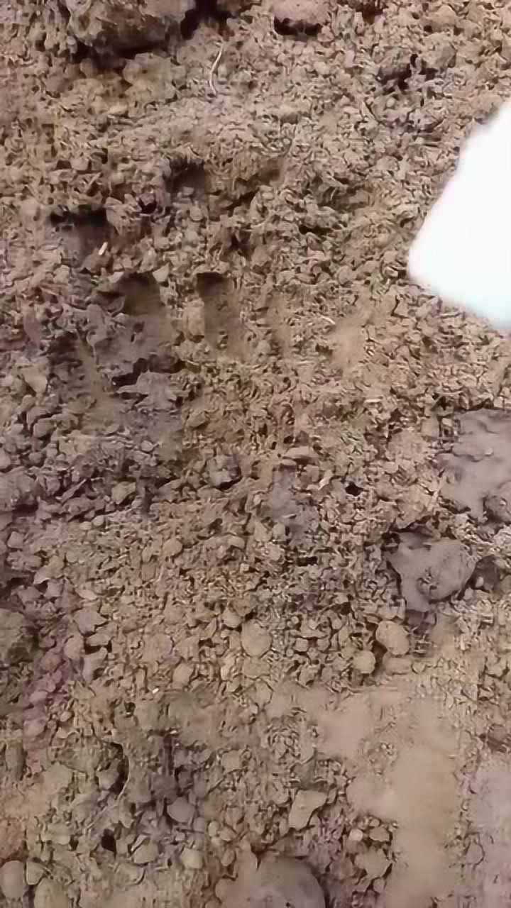纯手工泥丸，制作竟是如此简单_高清1080P在线观看平台_腾讯视频