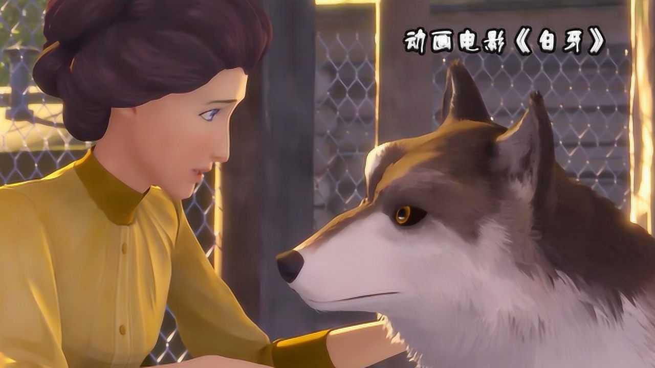 6分钟看完白牙一部非常治愈的人与狗的电影非常的感人