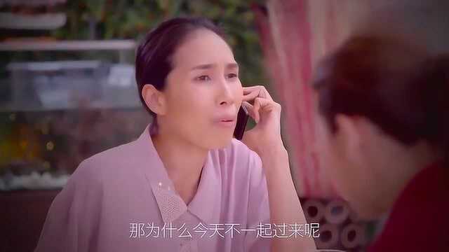 影视:总裁丈夫彻夜未归,丈夫也坦白和前任过夜,妻子:我支持你