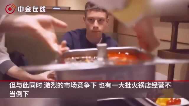 中国火锅十大品牌揭晓:一超多强格局形成,三四线城市待开发