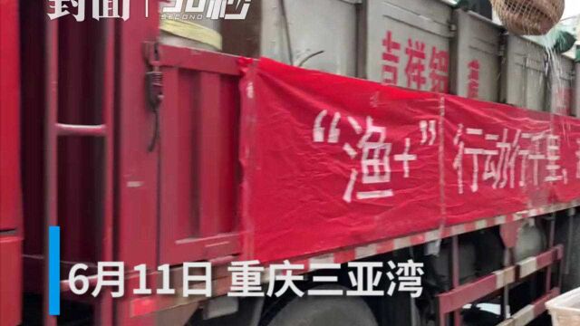 20吨生态“黔鱼”入渝 渝黔架设优质农产品通道