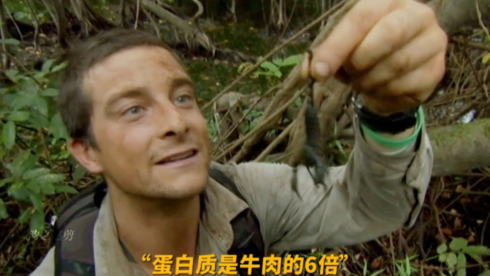 作者最新视频