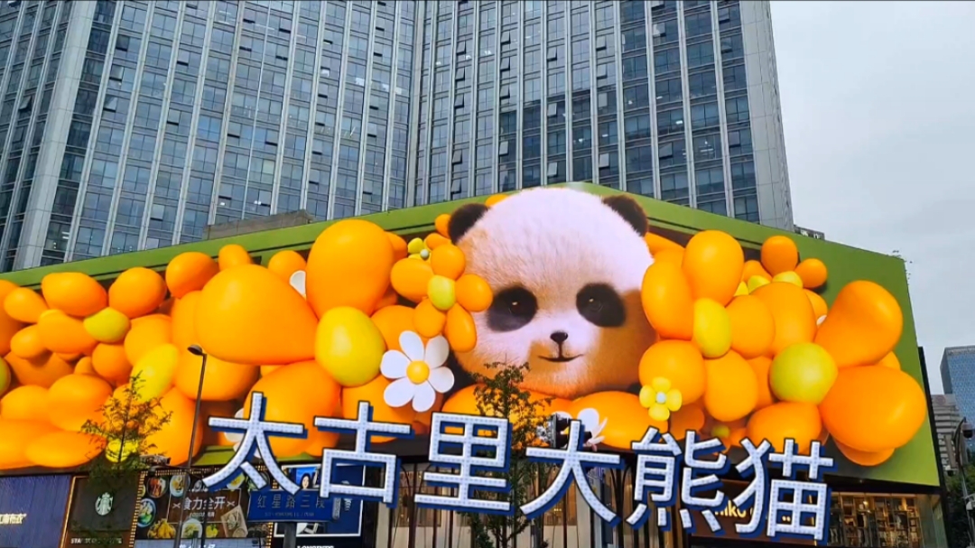 大熊猫来了,成都网红直播打卡地,太古里3d巨幕,科技感十足