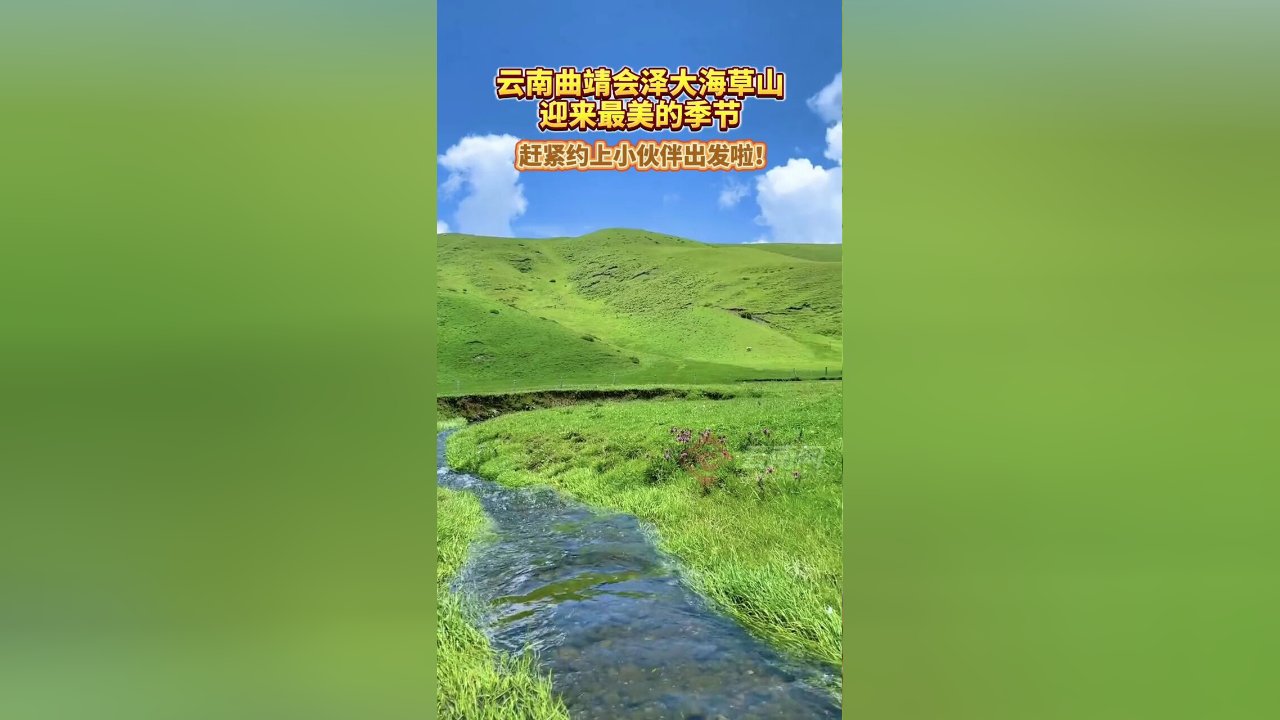 云南曲靖会泽大海草山迎来最美的季节,赶紧约上小伙伴出发啦!
