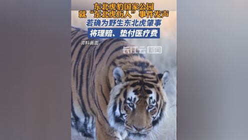 东北虎豹国家公园:若确为野生东北虎肇事,将理赔,垫付医疗费