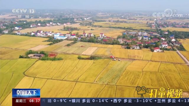 现代农机合作社正充分发挥主力军作用,带动更多小农户接触新技术