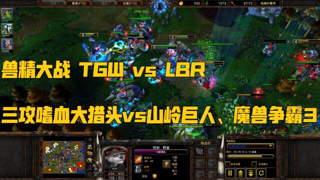 兽精大战TGW vs LBR、三攻嗜血大猎头vs山岭巨人、魔兽争霸3war3