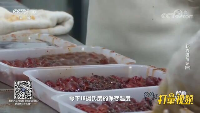 小龙虾通过冷冻虽能长时间的保存,但缺陷也逐渐显现