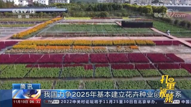 我国力争到2025年基本建立花卉种业创新体系