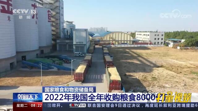 国家粮食和物资储备局:2022年我国全年收购粮食8000亿斤