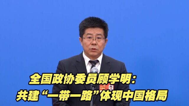 全国政协委员顾学明:共建“一带一路”体现中国格局和中国担当