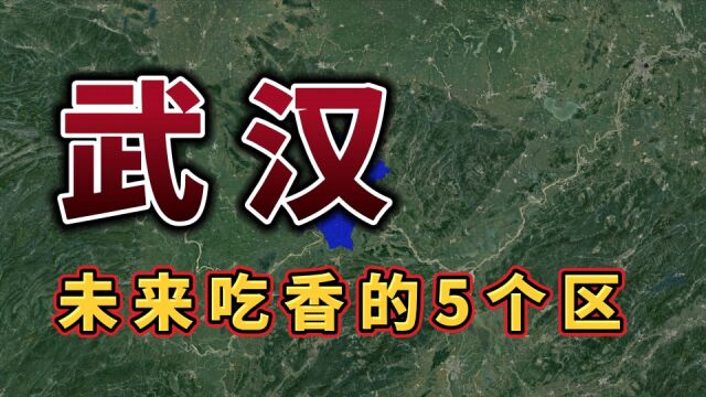 武汉被“中央”看好的五个区,未来有福了,看看有你的家乡吗?