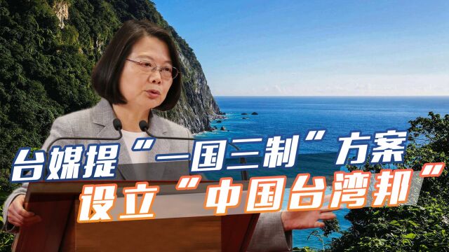 台媒提出“一国三制”方案,设“中国台湾邦”,放弃“中华民国”