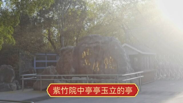 紫竹院公园中亭亭玉立的亭