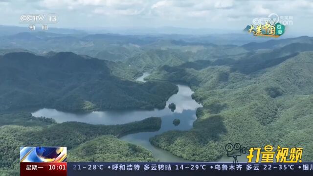 夏至节气将至!一起跟随镜头感受夏日独有的绿意与旺盛