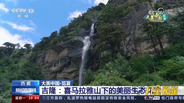 西藏吉隆烟雨蒙蒙、鸟鸣山幽,一起来观赏这个美丽的生态花园