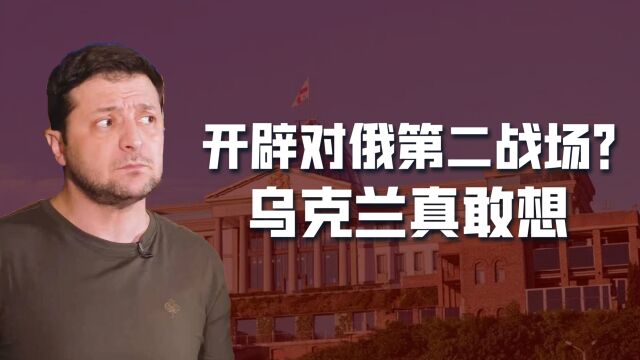 乌克兰又在痴心妄想:开辟第二战场,挑动格鲁吉亚,让俄腹背受敌