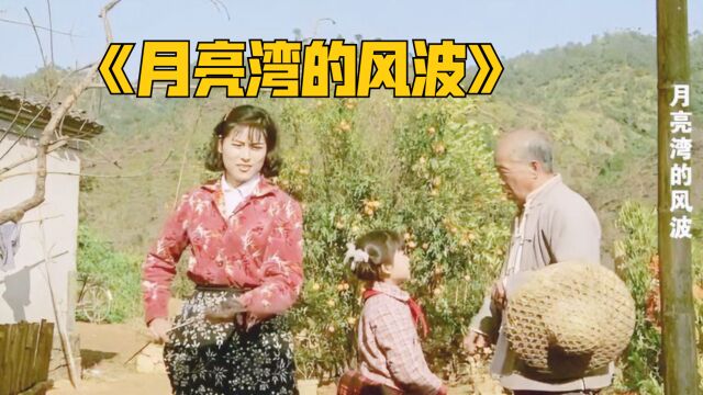 80年代的万元户困境,农村题材老电影喜剧片《月亮湾的风波》