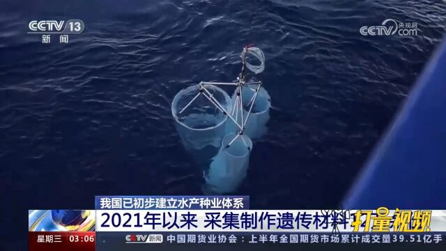 我国初步建立水产种业体系!2021年来,采集制作遗传材料12万余份