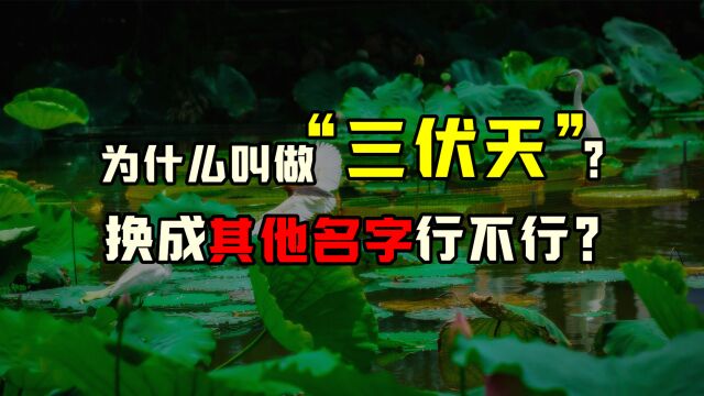 为什么要叫做“三伏天”?如果换成其他的名字,行不行