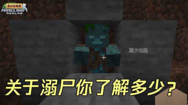 我的世界:关于溺尸的你不知道的事!溺尸竟然也有变种?