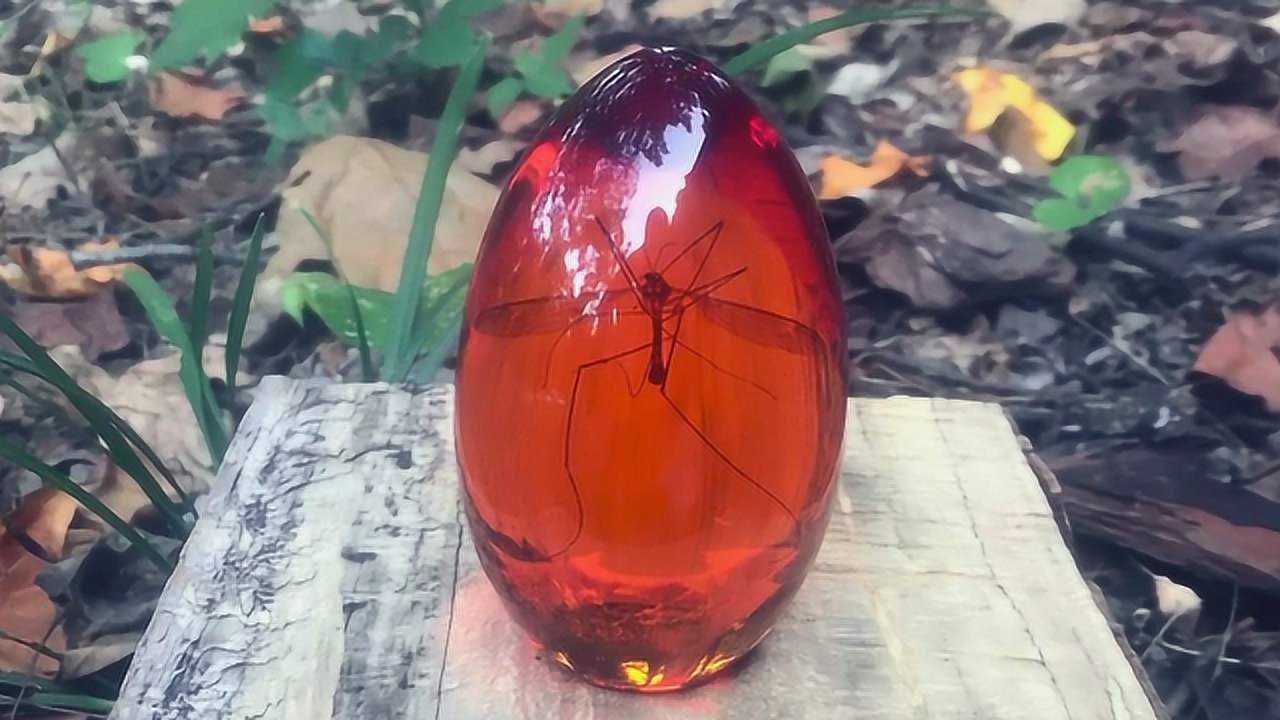 人造琥珀竟如此简单手工达人现场直播教学最后的作品帅爆了