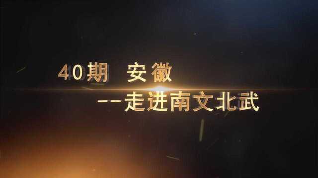 安徽该怎样强烈拥抱长三角?赵旭州来点评