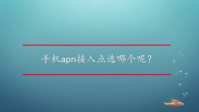 手机apn接入点选哪个呢?