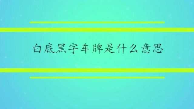 白底黑字车牌是什么意思